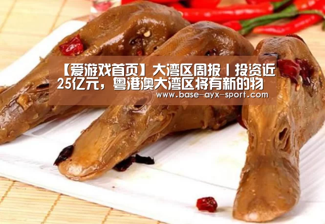 爱游戏官网