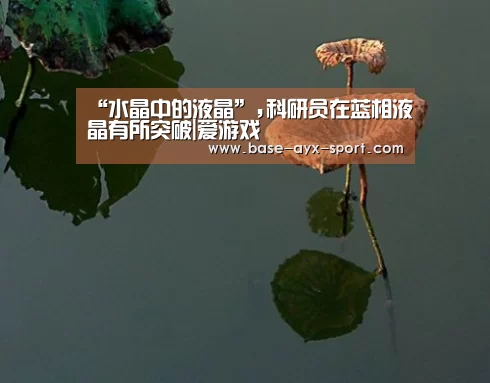 “水晶中的液晶”,科研员在蓝相液晶有所突破|爱游戏(图2) 爱游戏