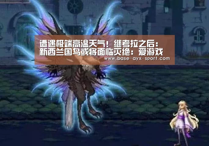遭遇极端高温天气!继考拉之后:新西兰国鸟或将面临灭绝:爱游戏首页(图2) 爱游戏